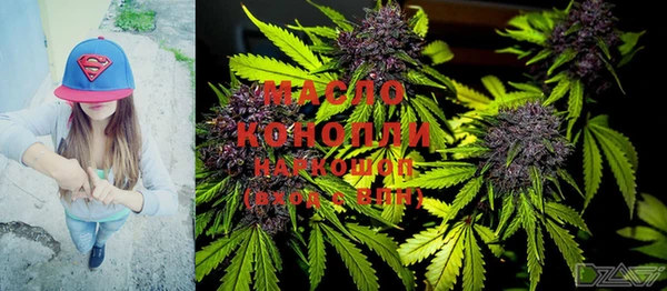 индика Беломорск