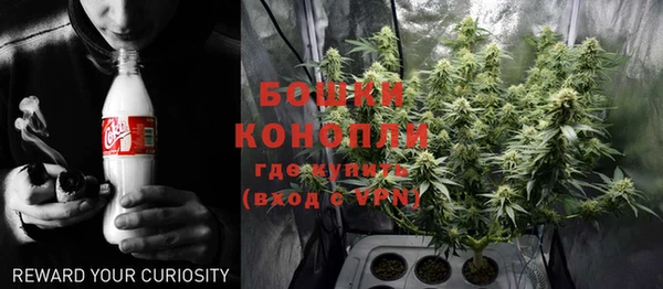 индика Беломорск