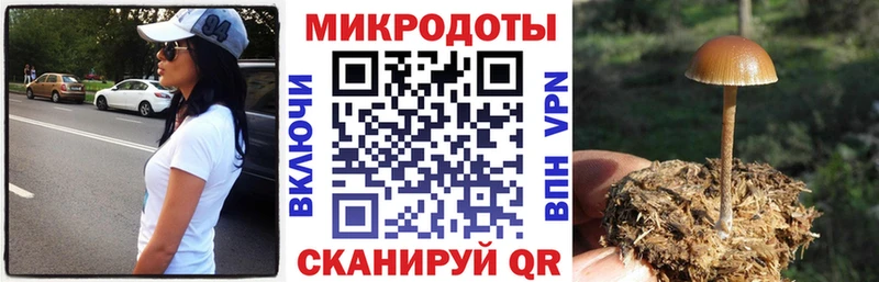 Галлюциногенные грибы Psilocybe Николаевск-на-Амуре